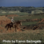 Wyoming Ranch Cowboy Adventure